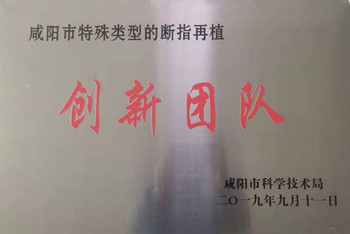 咸陽(yáng)市特殊類型的斷指再植創(chuàng)新團(tuán)隊(duì)