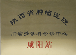 陜西省腫瘤醫(yī)院腫瘤多學(xué)科會(huì)診中心咸陽(yáng)站